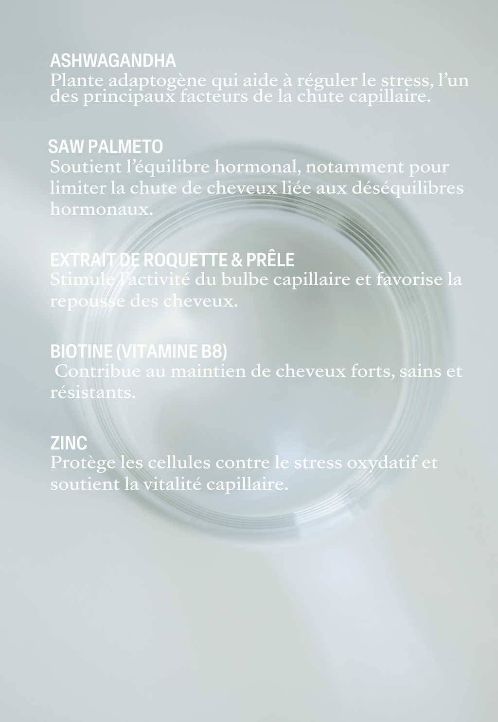 COMPLEXE VITALITÉ